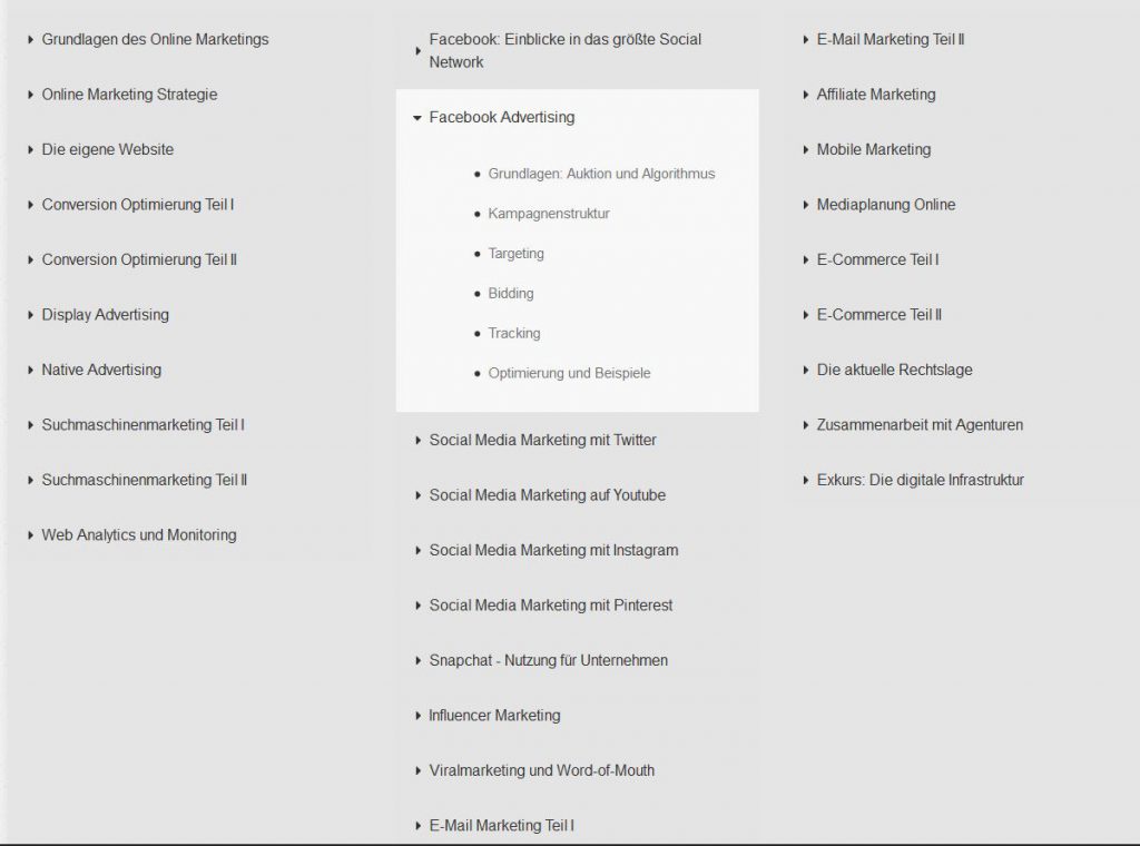 Screenshot des Lehrplans für die Ausbildung zum Online Marketing Manager der Social Media Akademie, Unterpunkt Facebook Advertising